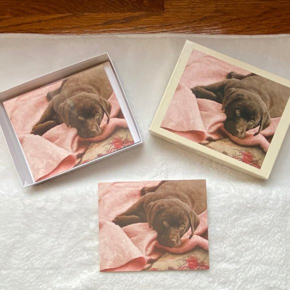 Vintage Chocolate Labrador Dog Puppy Lang Box of Note Cards - Picture 1 of 7